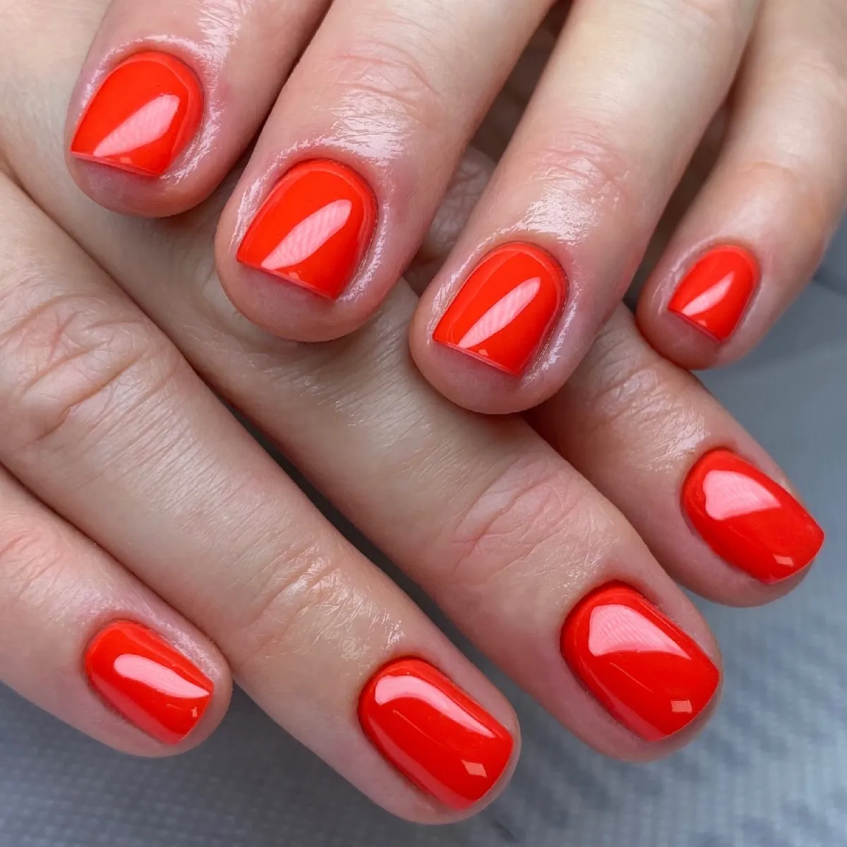 Profinails Gel Lac 6gr No. N-10